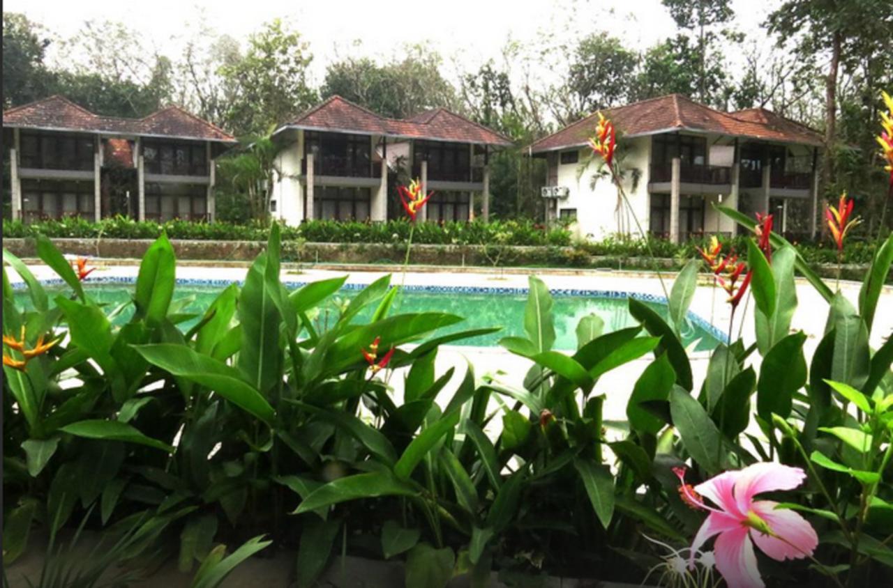 Hotel Whispering Waters Cochin Kochi Exterior foto